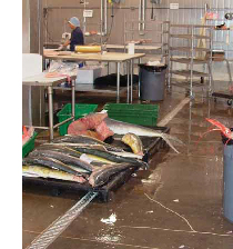 commercial and industrial slip resistance